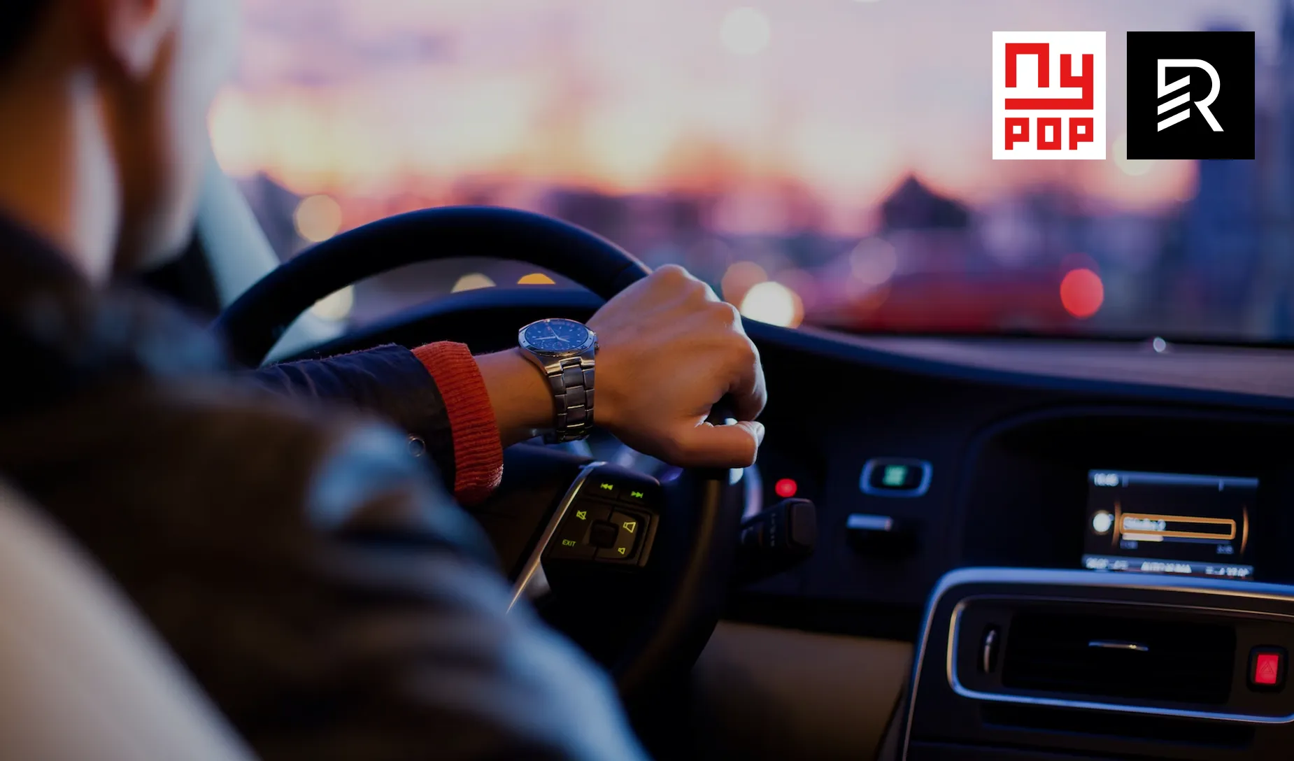 Poppy platform overview